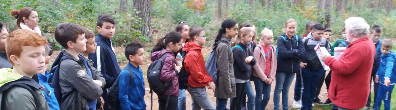 herfstwandeling